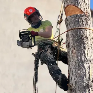 Baumkletterer Seilklettertechnik B