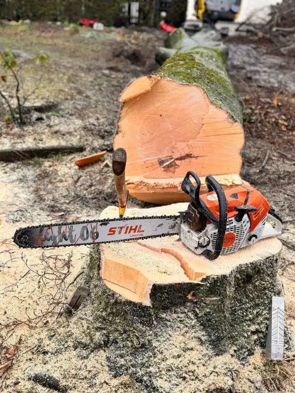 Baumfällung (Einfach ist nicht immer schlechter.)