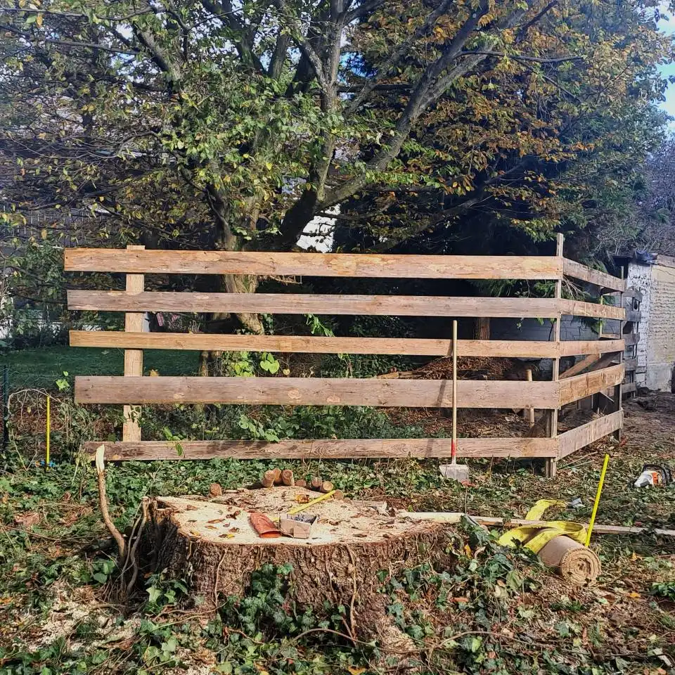 Neugestaltung eines Gartens mit neuem Baumwuchs