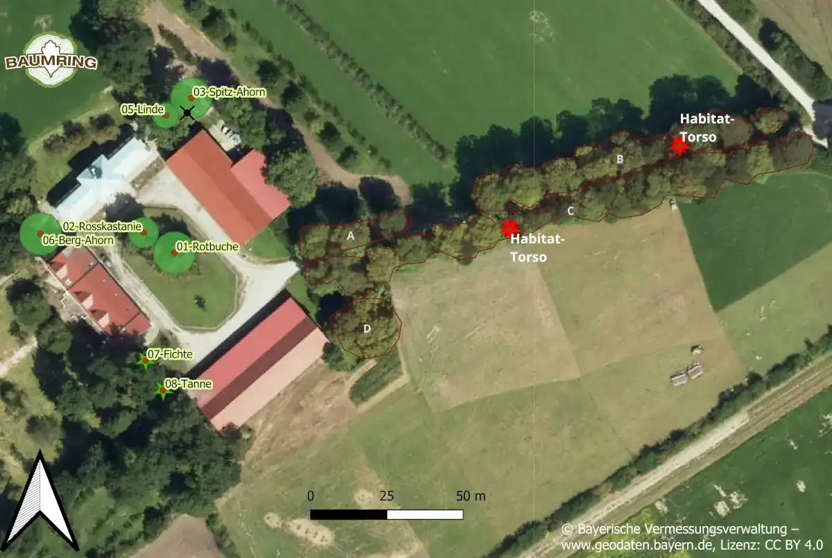 Grafik von Häusern und Bäume