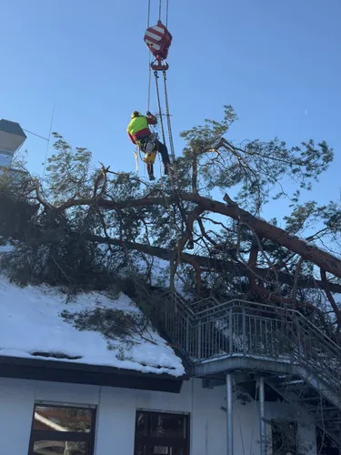 Ein umgefallener Baum auf einem Hausdach