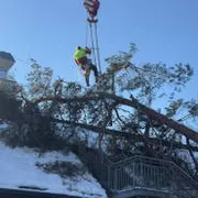 Wetterereignisse & Sturmschäden