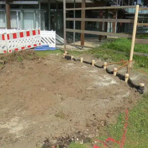 Baumschutzmaßnahmen